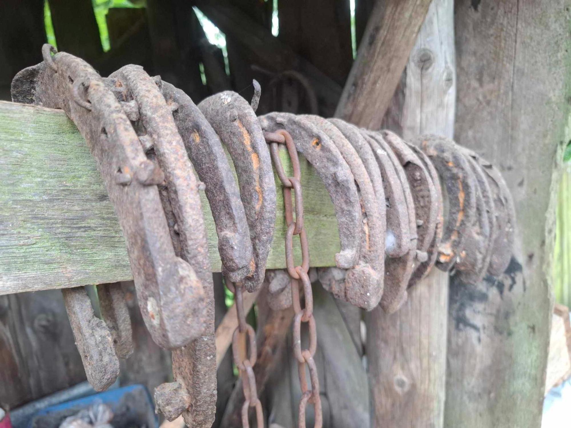 Agroturystyka Przy Rajskim Sadzie Nowy Berezów Exterior foto